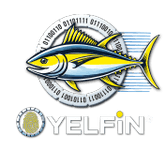 YELFiN