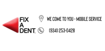 FIX-A-DENT-NOW Paintless Dent Repair 