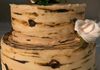 Birch Tree Wedding Cake