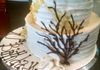 Two Tiered Coral Cake