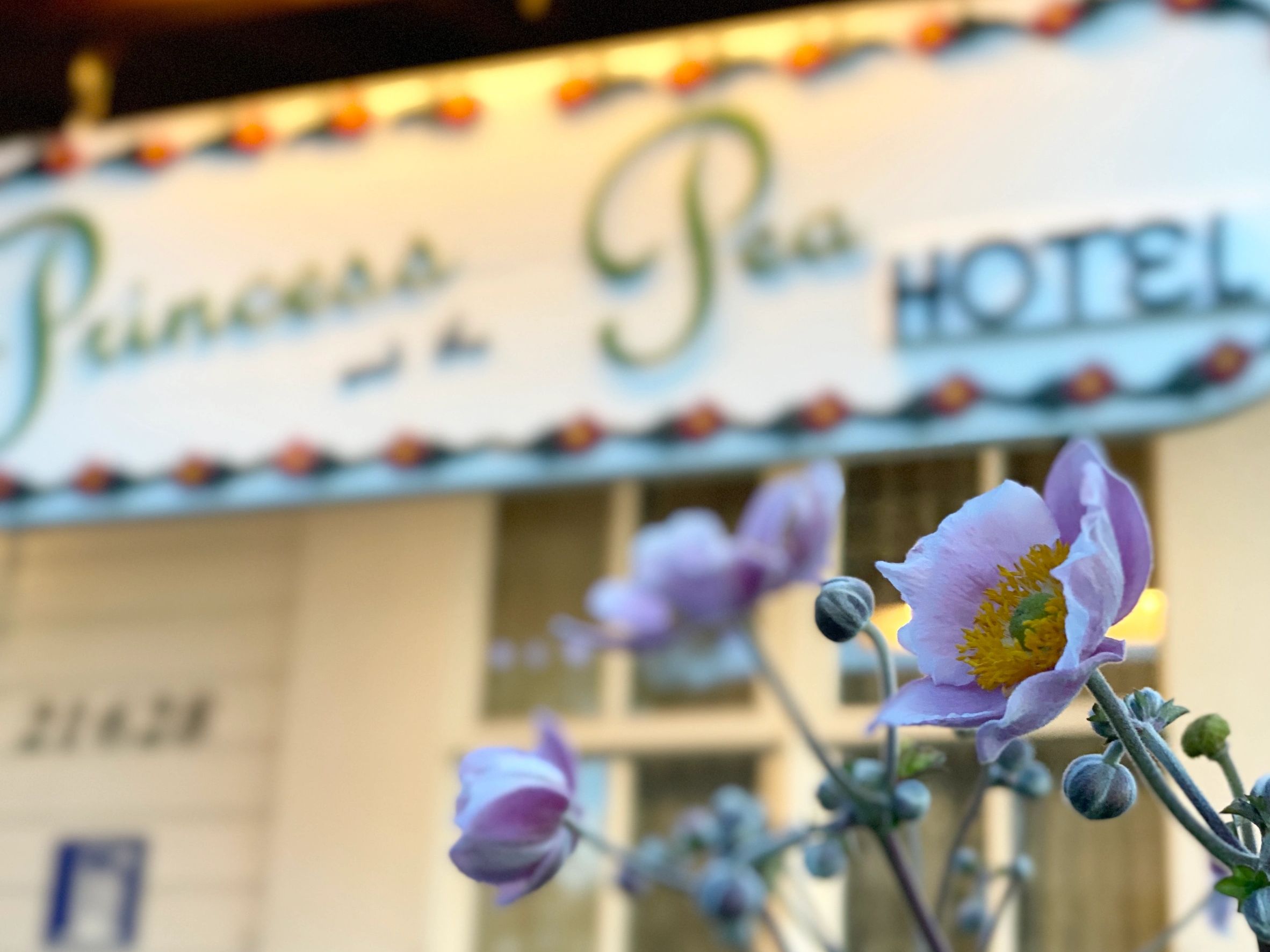 Princess and the Pea Hotel Signage with flowers in the foreground