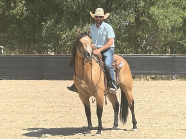 Man in cowboy hat riding a horse.