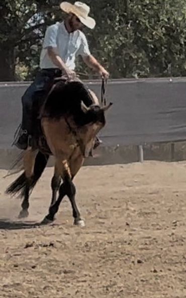 A cowboy riding a horse inside an arena.