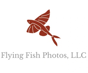 Flying Fish Photos, LLC