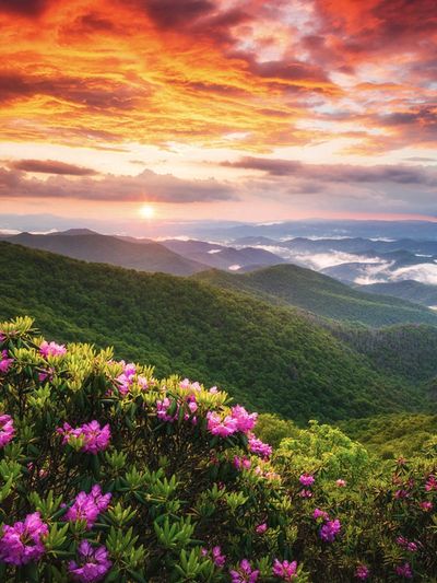 Beautiful landscape for peaceful transitions.