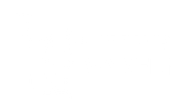 Cyber Wyvern