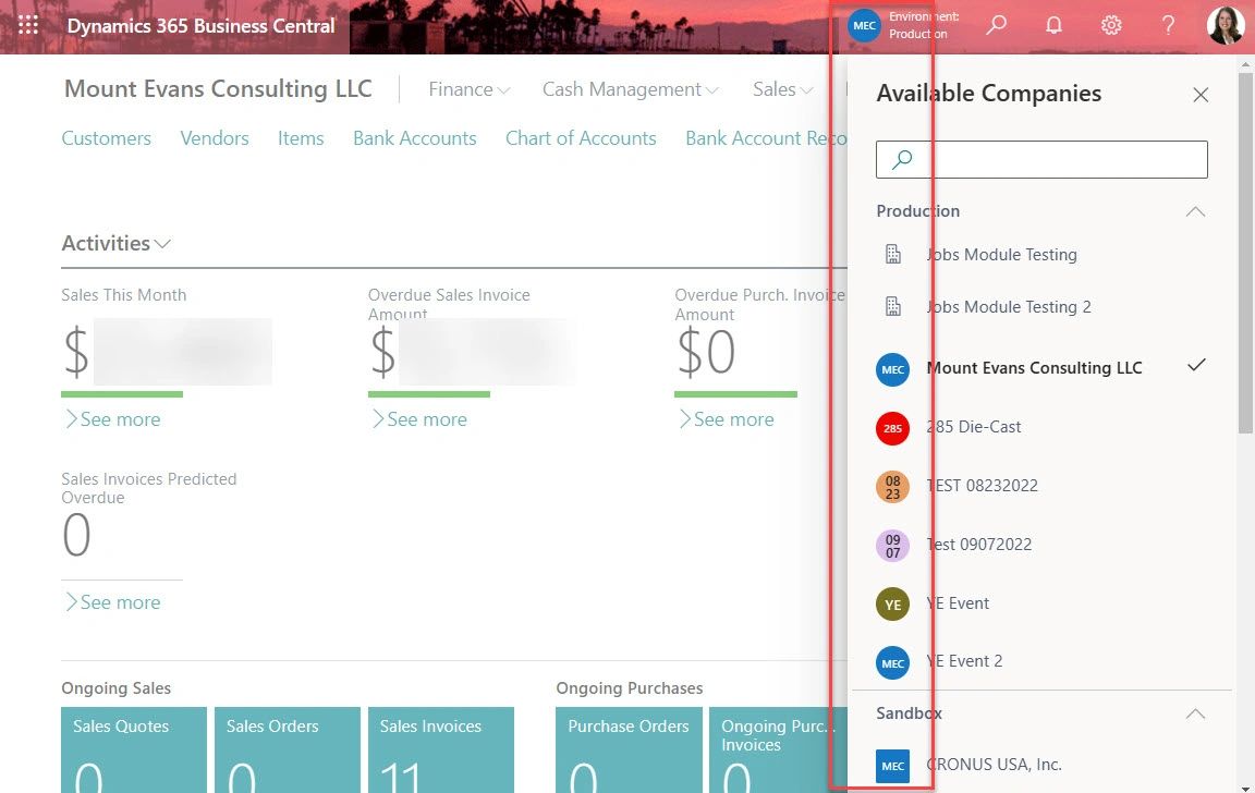 Microsoft Dynamics 365 Business Central Company Badge microsoft-dynamics-365-business-central-company-badge