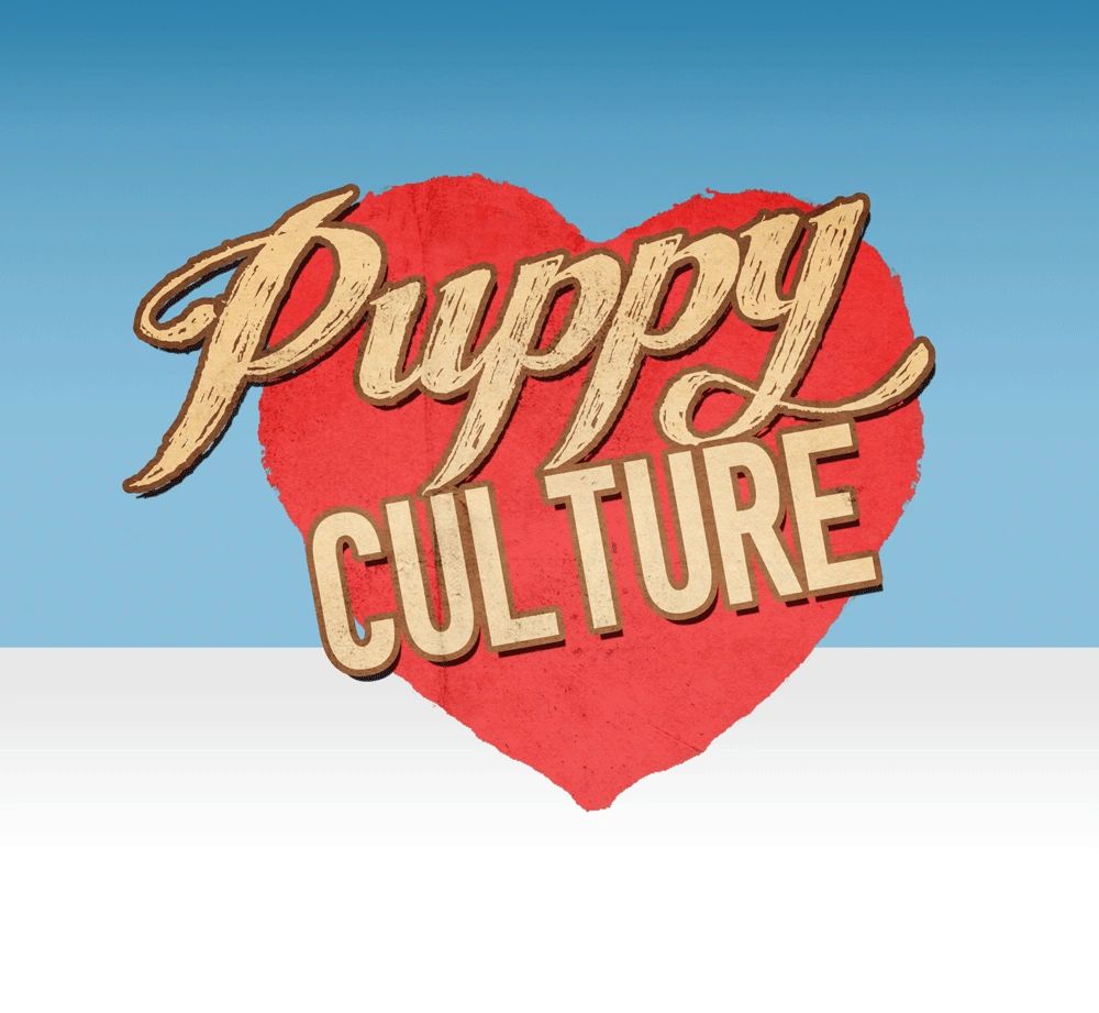 PUPPY CULTURE | Sheepadoodles, Whoodles and Bernedoodles ...