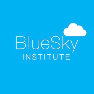 The BlueSky Institute