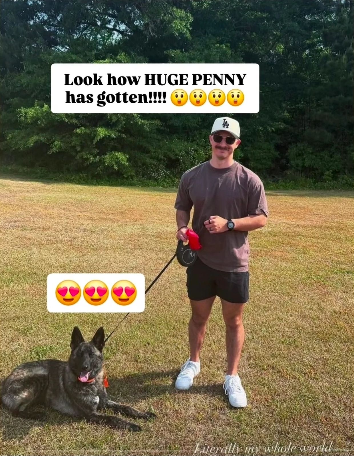 Man standing with a large dog on a leash in a grassy area.