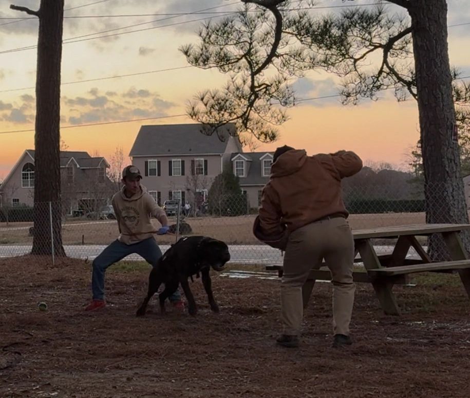 Angier K9 protection training under supervision