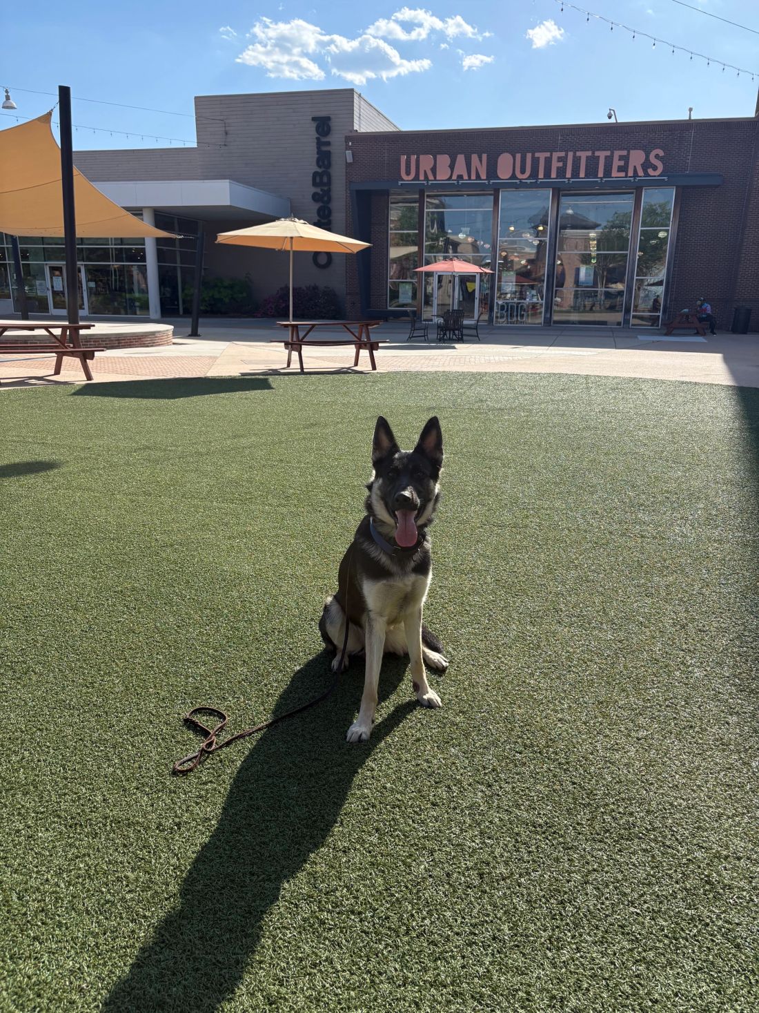 An Angier K9 service dog training session