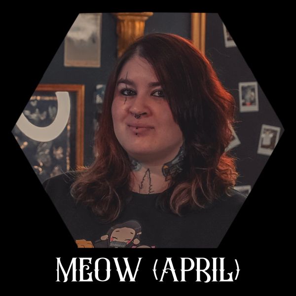 Meow artist card