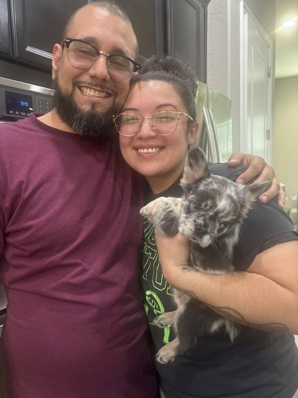 New French Bulldog owner