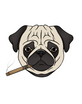 Hewitt Smoke Shop