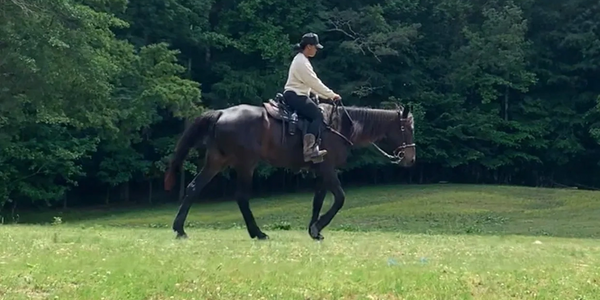 Young lady riding a horse