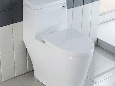 Picture of one piece toilet