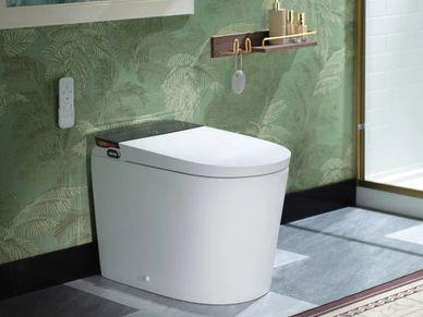 Picture of smart toilet
