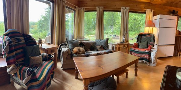 Cozy cabin living room with large windows and a dog sleeping on the couch.