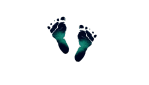 Barefoot  Dynamics