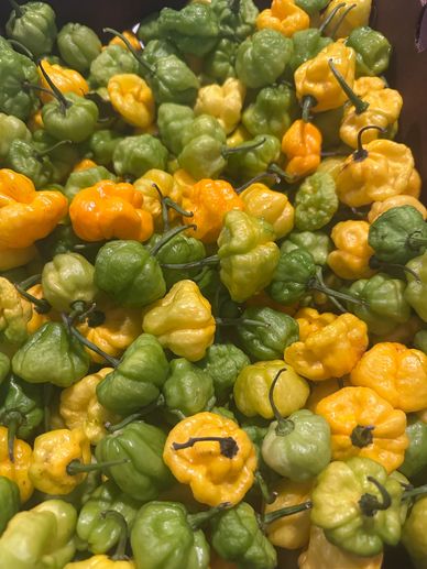 Fresh yellow and green peppers piled together.