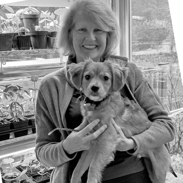 Woman holding a golden-brown puppy indoors near plants.
