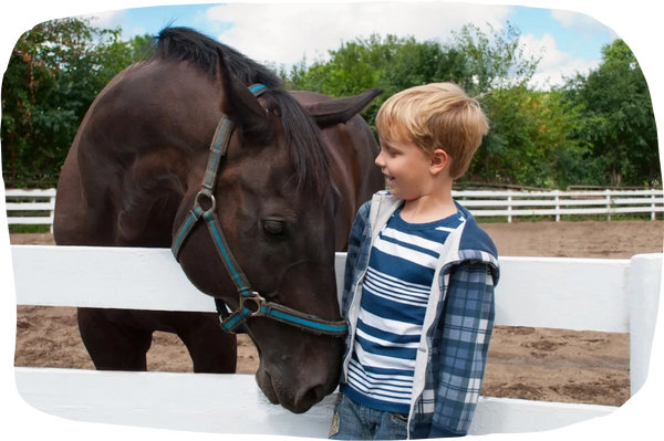 Trauma therapy
Family Therapy
Equine assisted psychotherapy
Child and adult counseling 
Group therapy