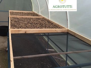 #paceras #cafetera #secado #mallas #camas #cultivo 