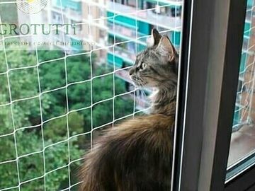 gatos proteccion balcon ventanas