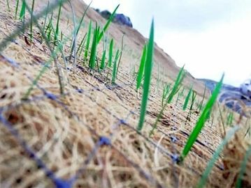 agrotextil agromanto biomanto oermanente biodegradable fique agrotutti pavco geotextil natural