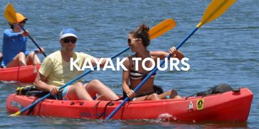 kauai fun tours