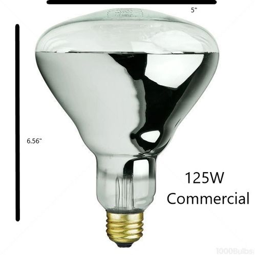Large Commercial Popcorn Machine Bulb