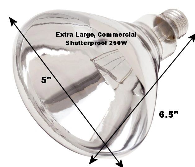 250W Extra Large Commercial Popcorn Machine Infrared Heat Lamp Bulb