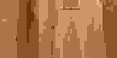 Minnesota native tree species at Minnesota Timber and Millwork from