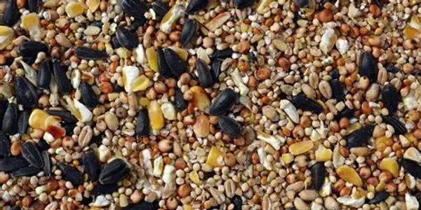 Wild birdseed