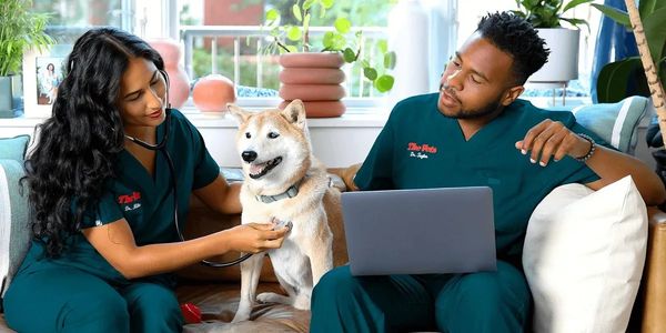 The Vets - A Client of The BCPR Group