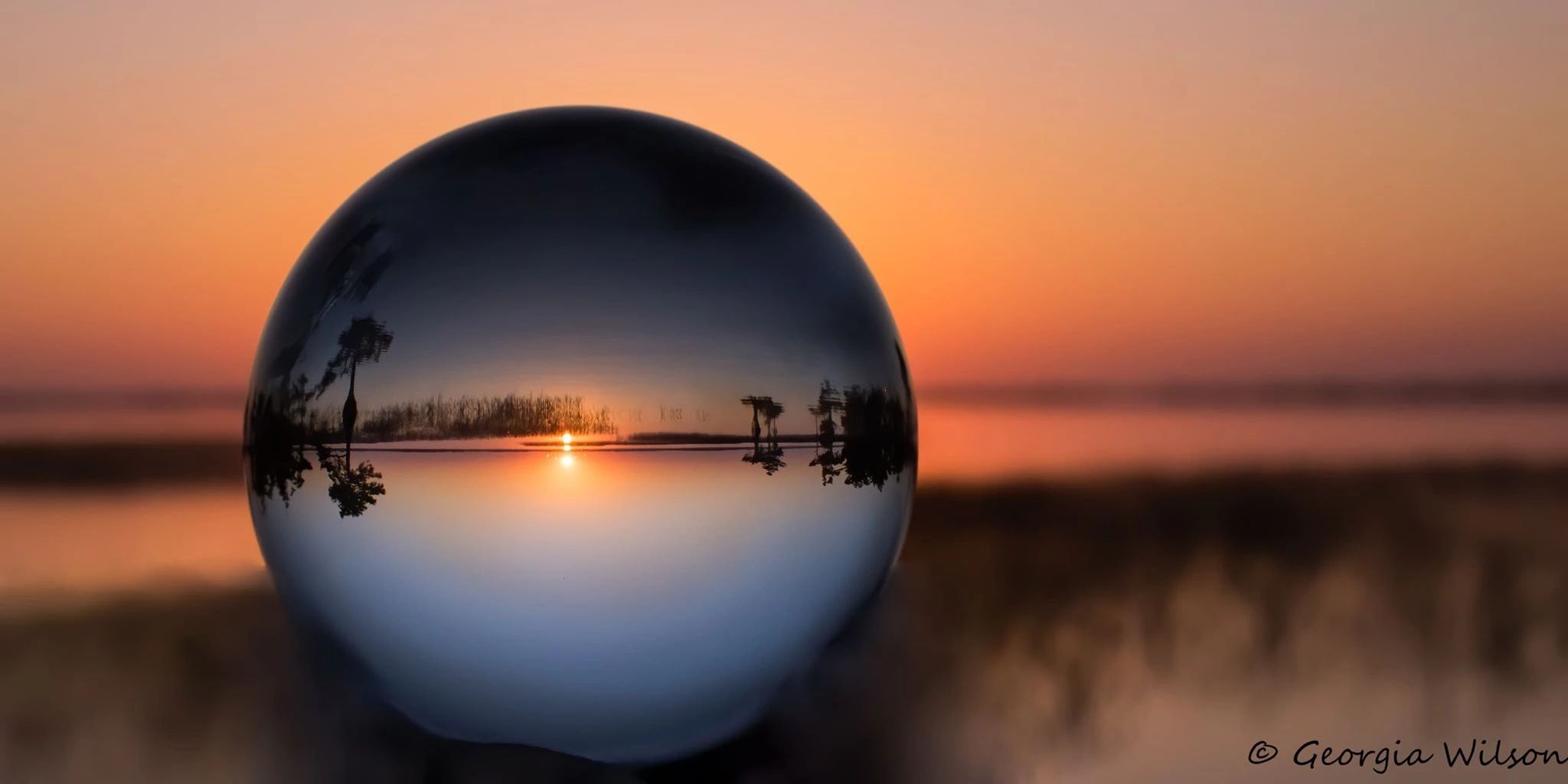 Blue Cypress Lakeside Cabins