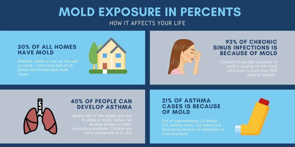 Mold Usage Top 10 Facts about Mold Exposure