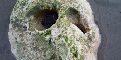 A waves worn rock which looks ghostly