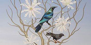 A blue bird and a black bird in a blossoming tree. Robin Fulton Macpherson's Arrivals of Light
