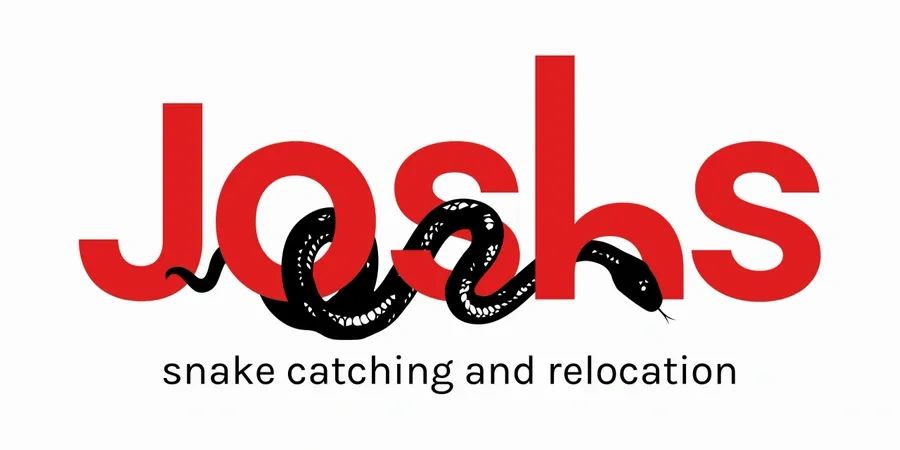 brisbane north snake catcher
