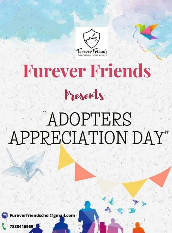 Furever Friends animal rescue group celebrates 'Aabhar Diwas'