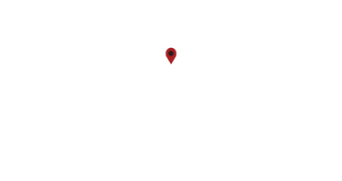 Wander with Wilson