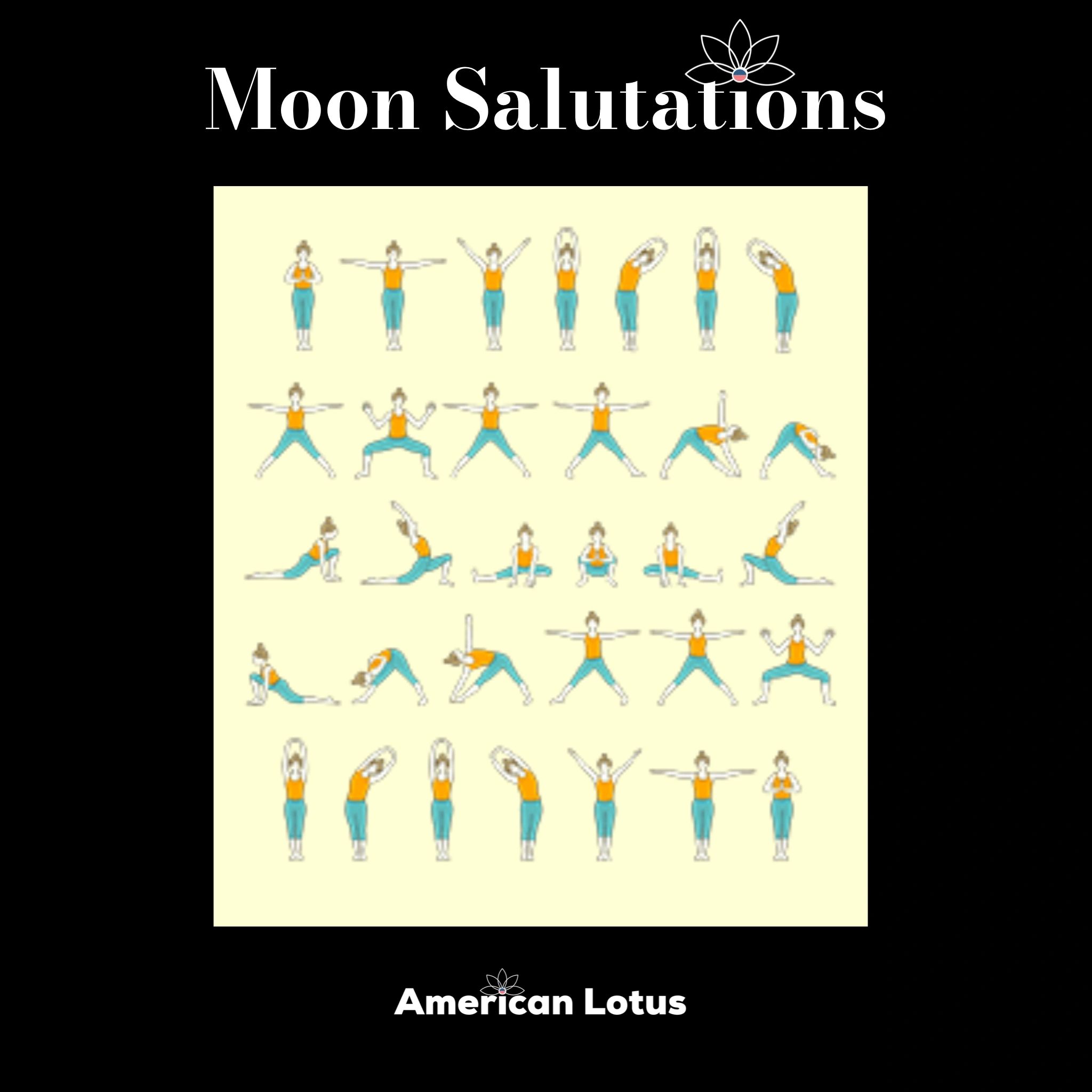American Lotus Sun Salutations 