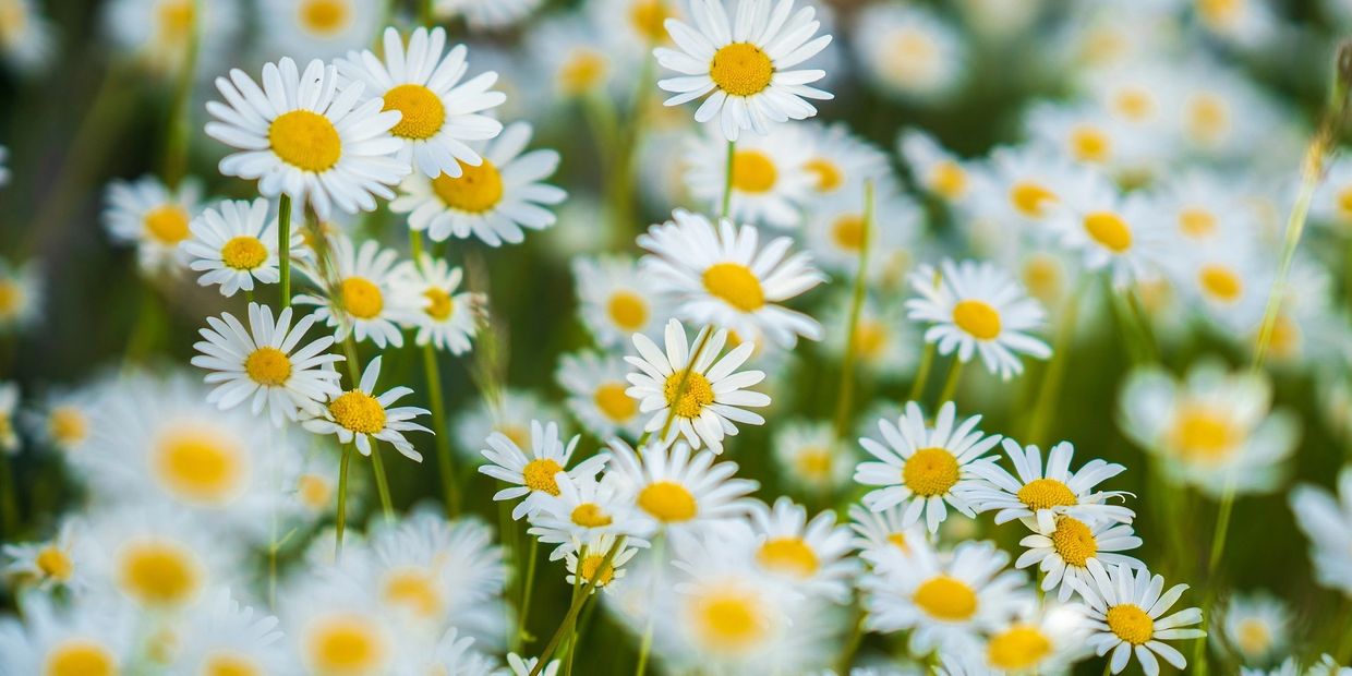 Build The HAPPY Life You Deserve