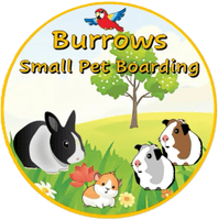 Burrows Bunny Boarding
