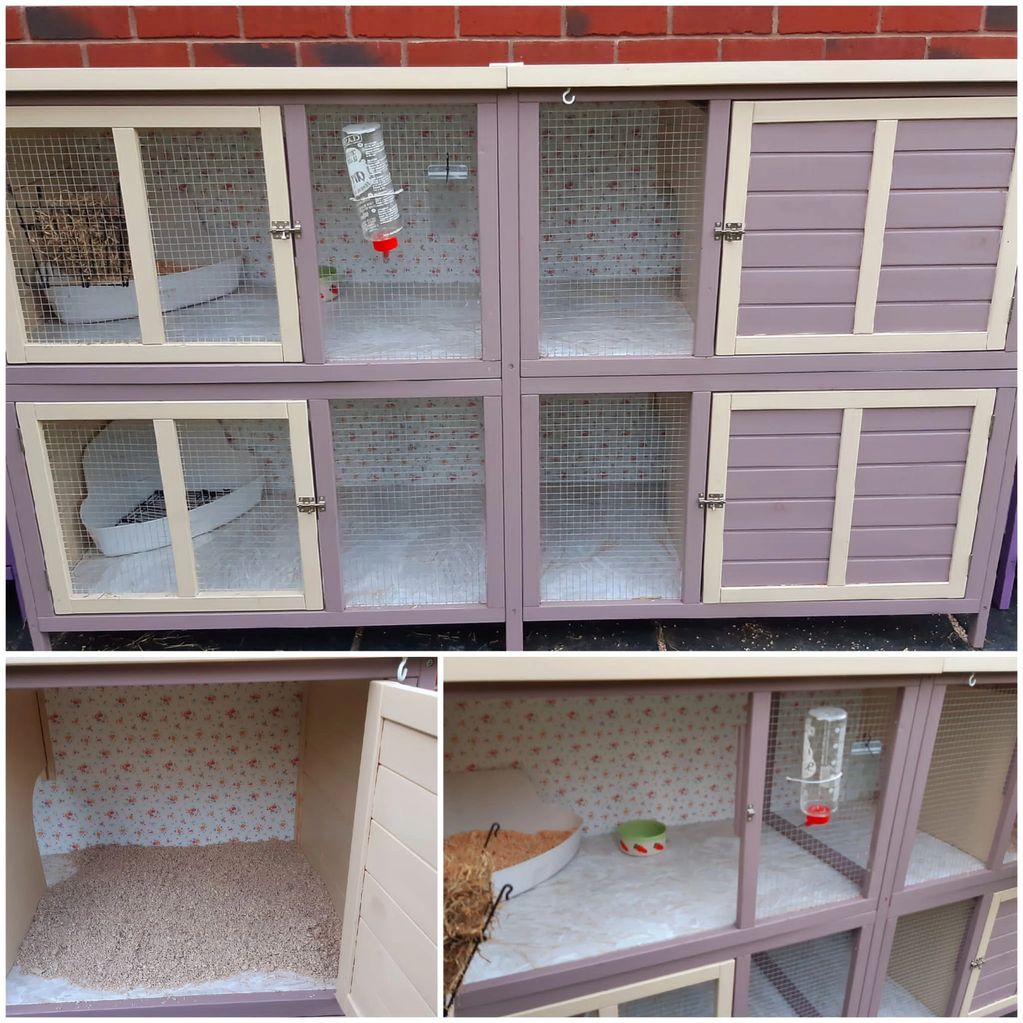 Rabbit boarding hutches