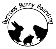 Burrows Bunny Boarding - Rabbit Boarding, Bunny Boarding