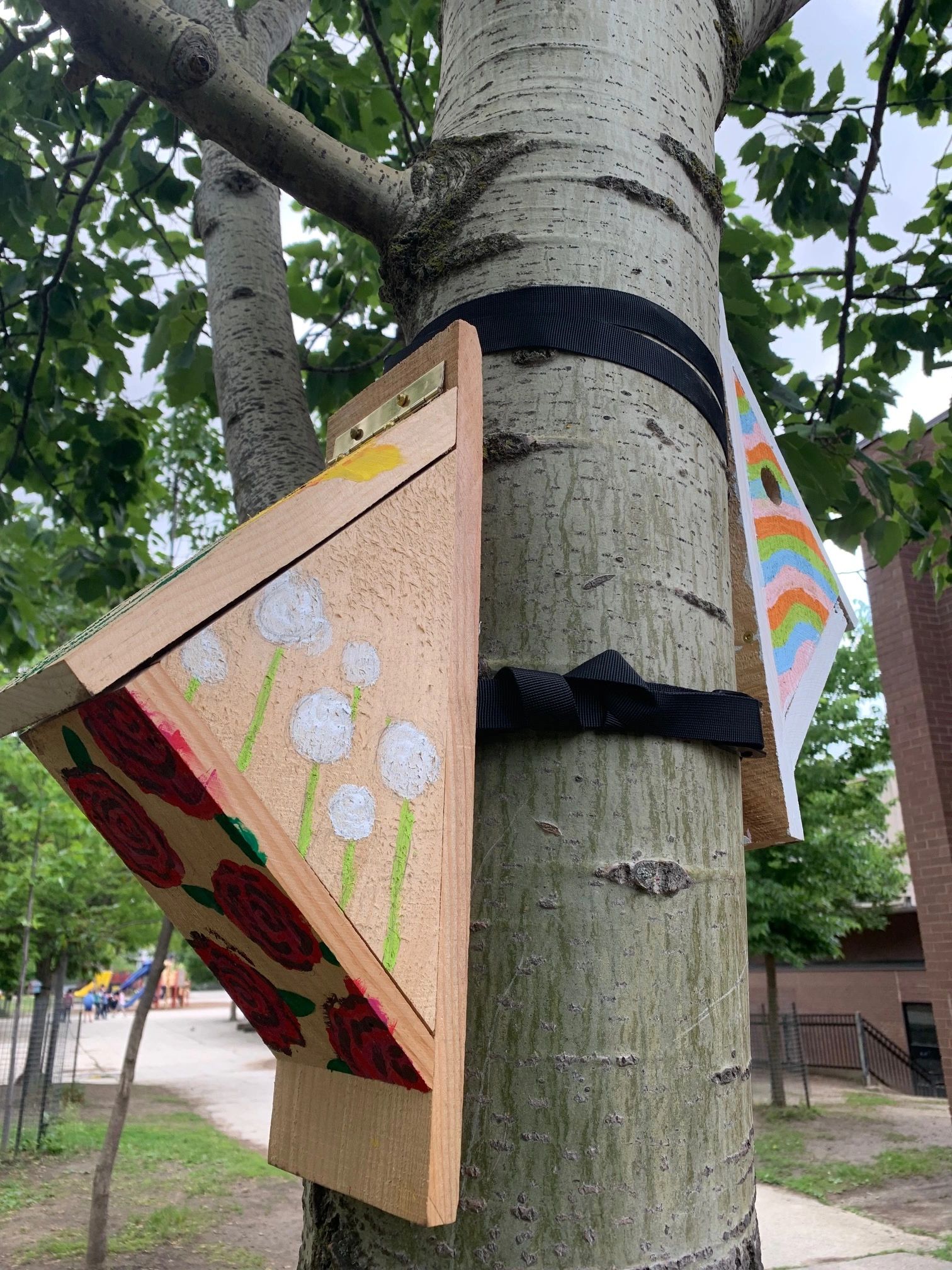View of Building Bird Habitat on School Grounds
