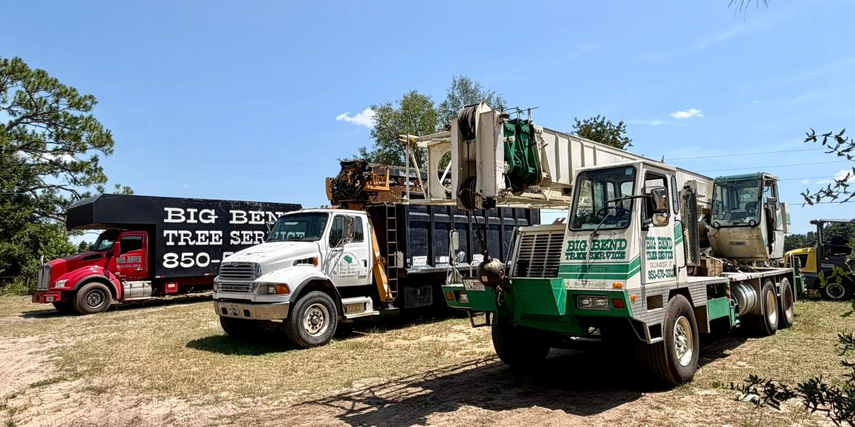 Trucks from Big Bend Tree Service parked outdoors.